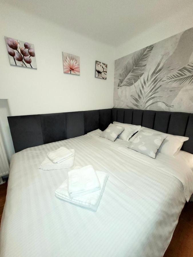 Pacha Residence Timisoara Luaran gambar