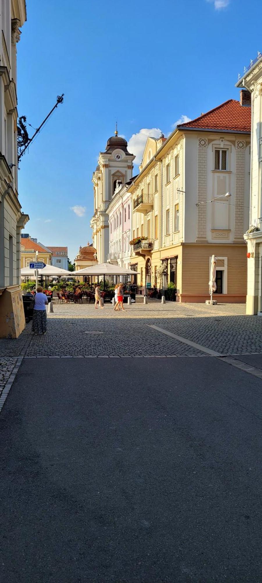 Pacha Residence Timisoara Luaran gambar