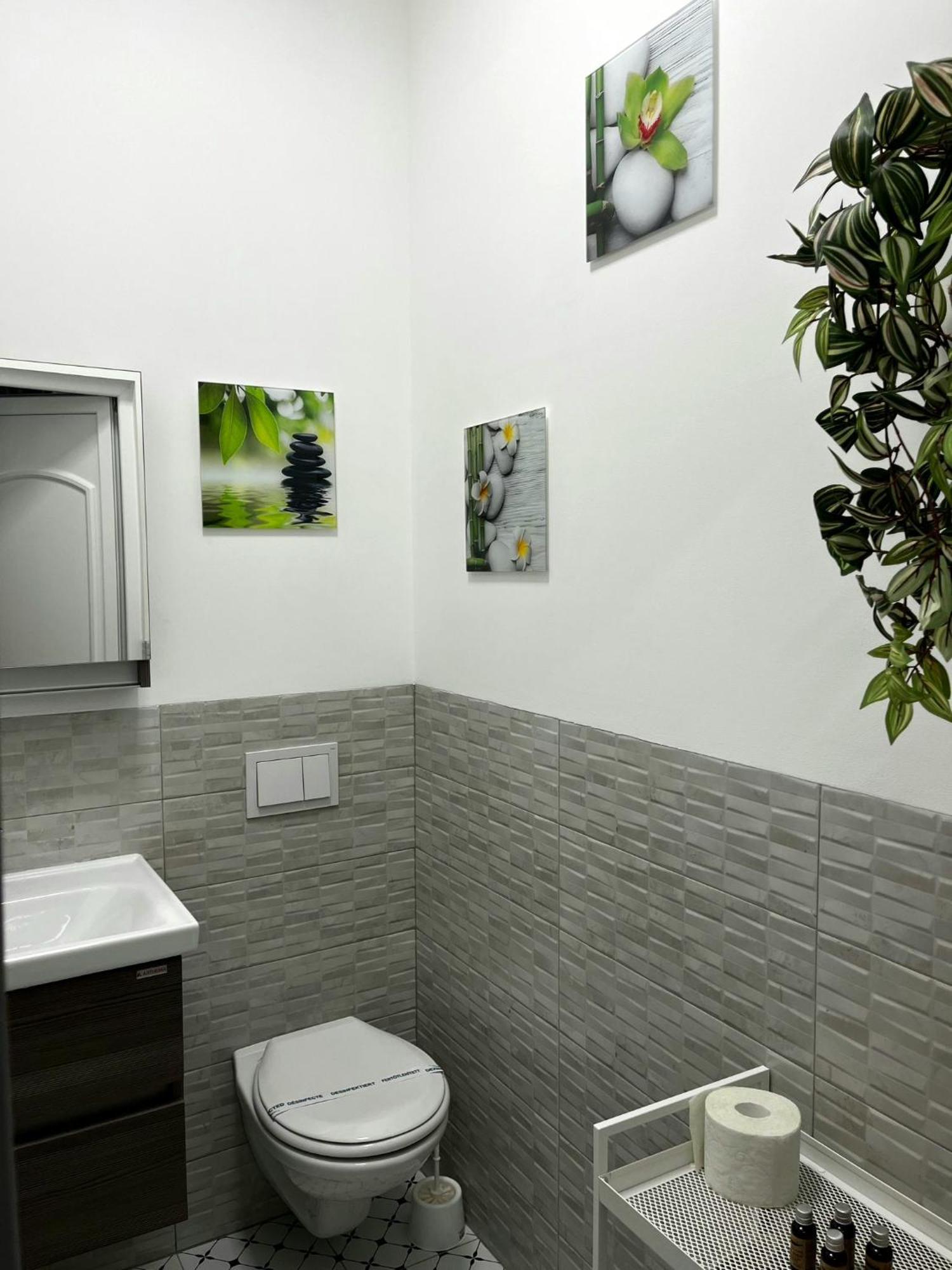 Pacha Residence Timisoara Luaran gambar